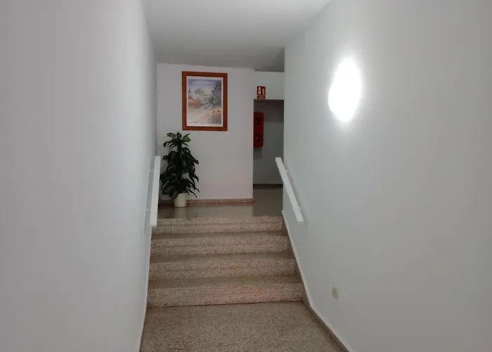 La De A 5km De Puerto De La Cruz Daire *